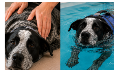 Combined Swim & Massage Session