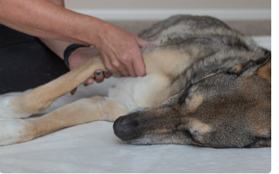 Therapeutic Massage